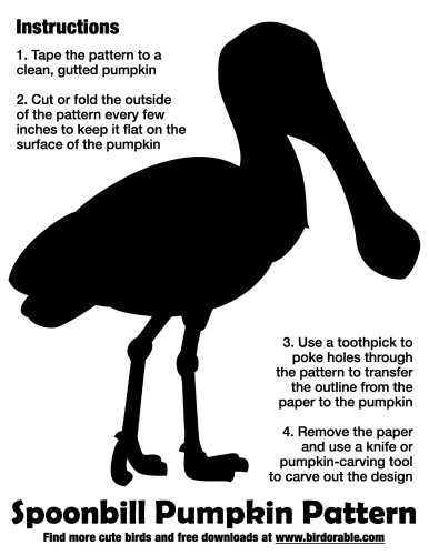 Spoonbill Pumpkin Pattern