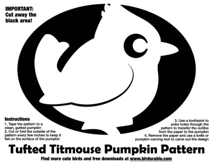 Tufted Titmouse Pumpkin Pattern
