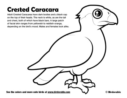 Crested Caracara Coloring Page