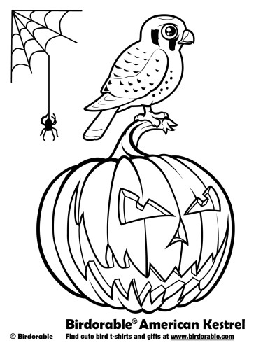 Halloween American Kestrel Coloring Page
