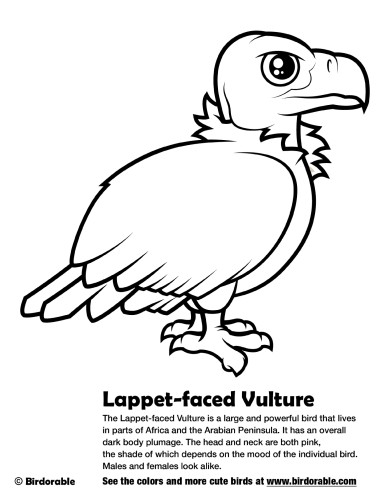 Lappet-faced Vulture Coloring Page