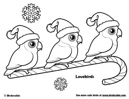 Santa Lovebirds Christmas Coloring Page