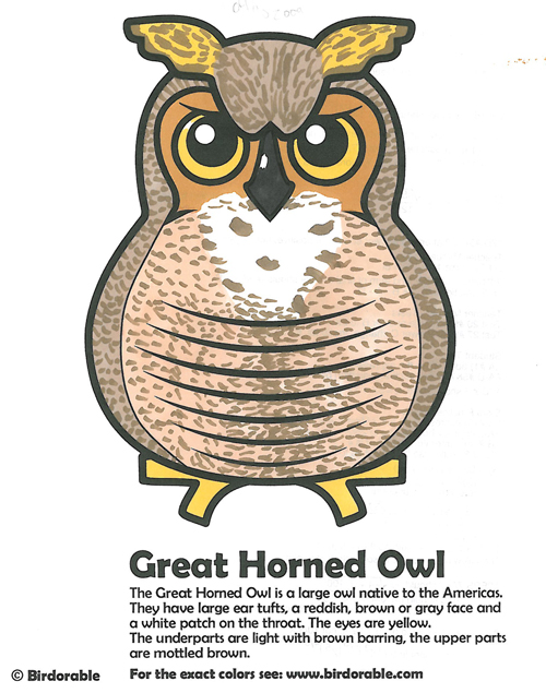 Great Horned Owl coloring fun!