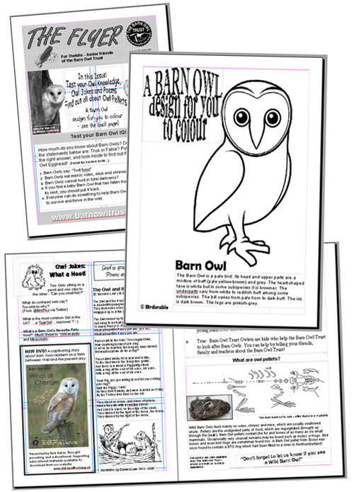 Barn Owl Trust Flyer