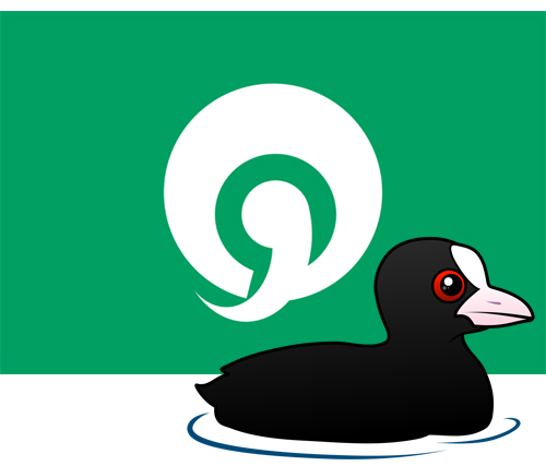 AbikoCoot
