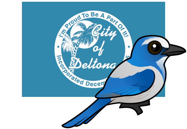 Birdorable Florida Scrub-Jay with the Flag of Deltona, Florida