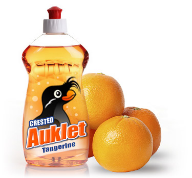 auklet