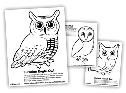 eurasian-eagle-owl_coloring