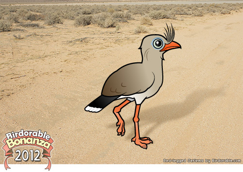 red-legged-seriema