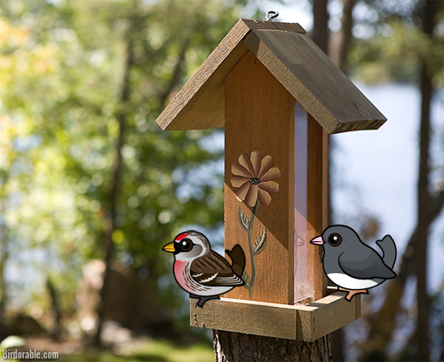 Blog Bird Feeder