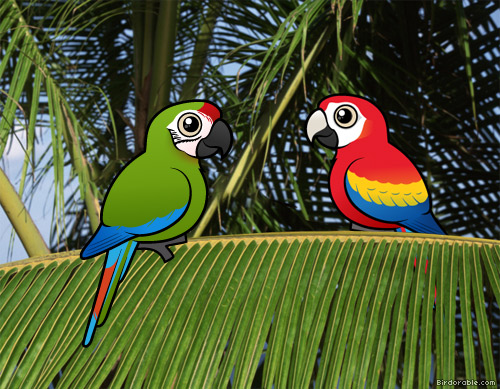 Birdorable Macaws