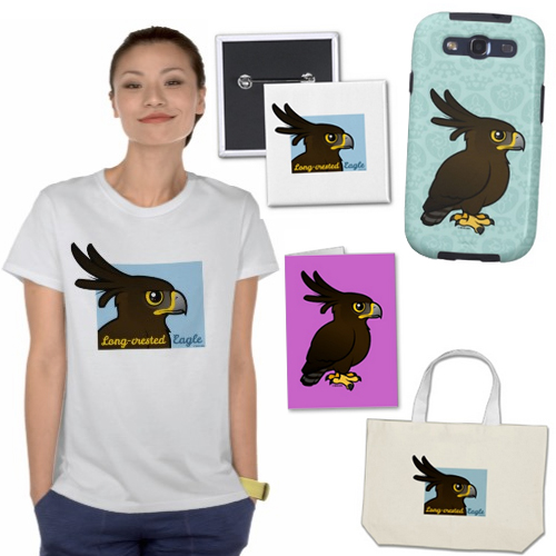 long-crested eagle