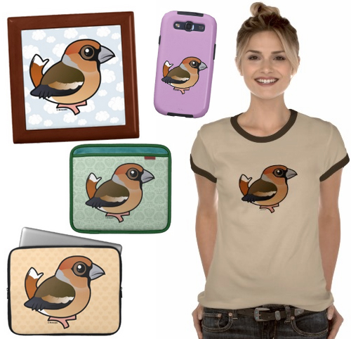 Hawfinch merchandise