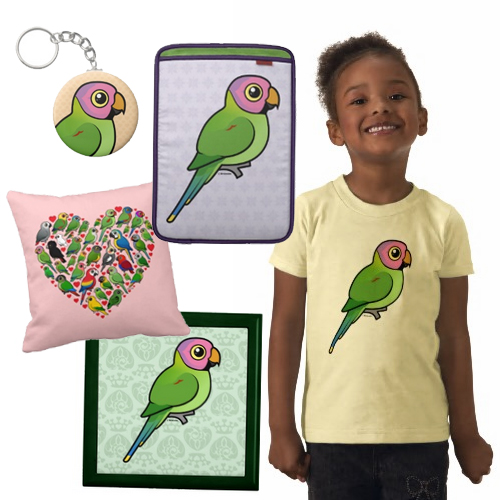 blossom headed parakeet