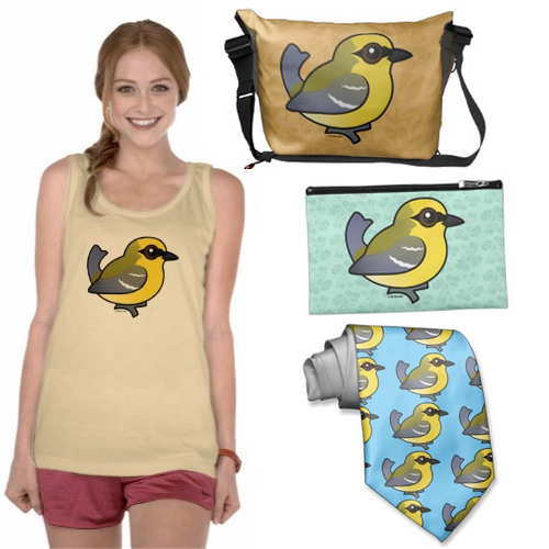 blue-winged warbler