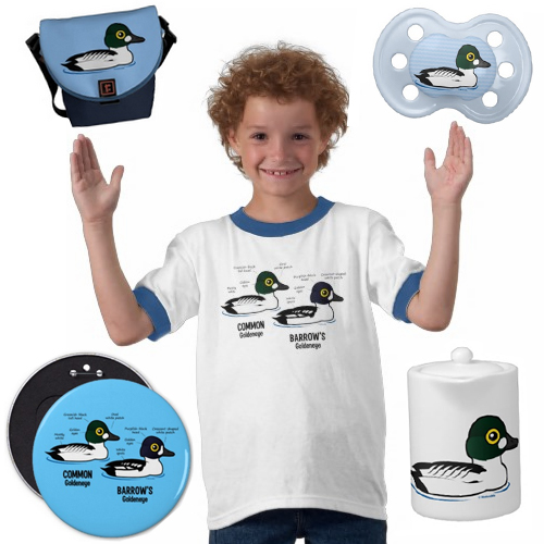 common goldeneye