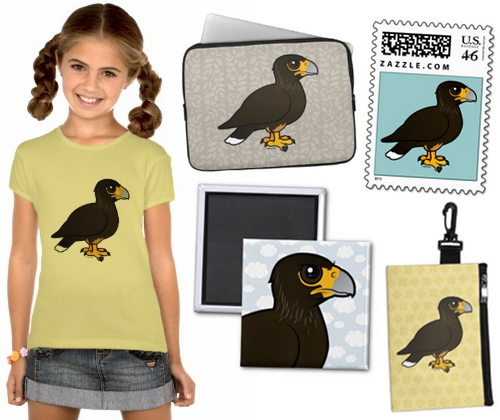striated caracara