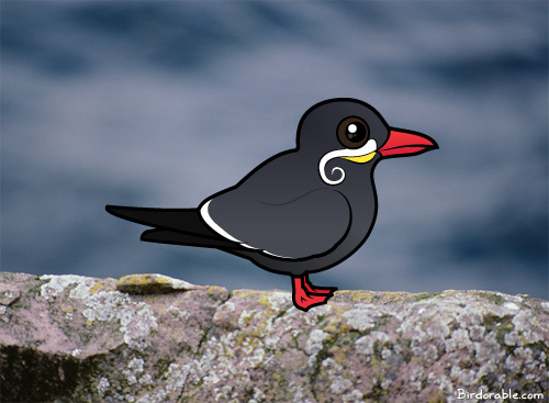 inca-tern