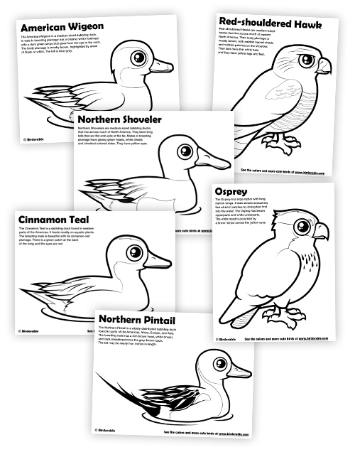 Birdorable Coloring Pages