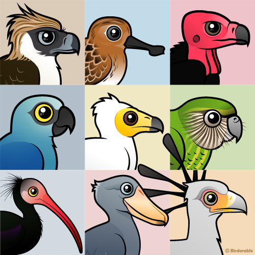 Birdorable birds of prey Cute animal drawings, Animal facts, Animals wild