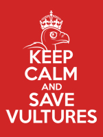 Keep Calm & Save Vultures