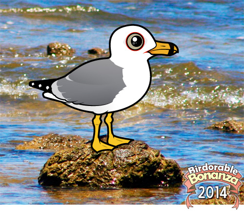 Birdorable Ring-billed Gull