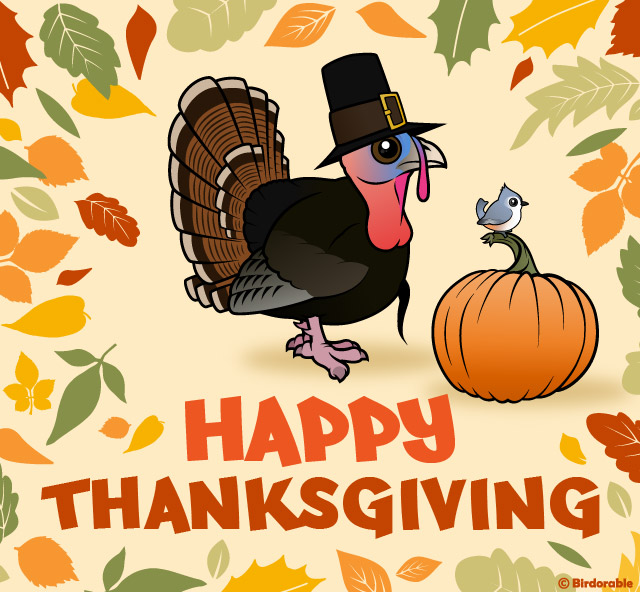 Happy Thanksgiving from Birdorable