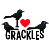 I Love Grackles
