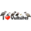 I Love Vultures (Africa)