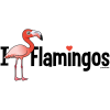 I Love Flamingos