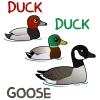 Duck Duck Goose
