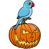 Blue Indian Ringneck Halloween