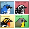 Four Color Warblers