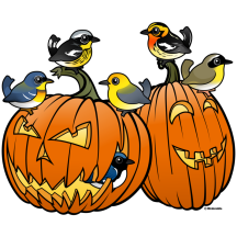 Jack O'Warbler