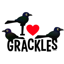 I Love Grackles
