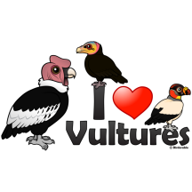 I Love Vultures (South America)