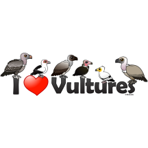 I Love Vultures (Africa)