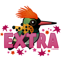 Tufted Coquette is *EXTRA*