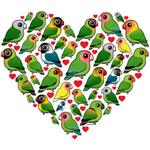 Heart of Lovebirds