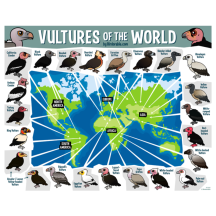 Vultures of the World