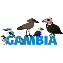 The Birdorable Gambia