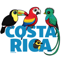 Birdorable Costa Rica