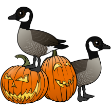 Canada Geese with Jack-o-lanterns