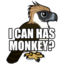 I Can Has Monkey? Philippine Eagle
