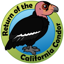 Return of the California Condor