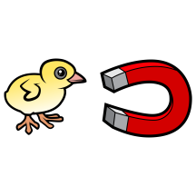 Chick Magnet
