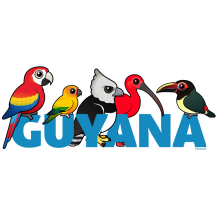 Birdorable Guyana