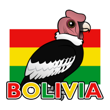 Bolivia: Andean Condor