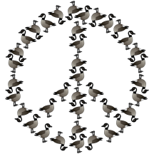 Geese Symbol with Canada Goose