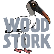Jumbo Wood Stork